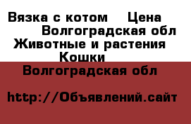 Вязка с котом  › Цена ­ 3 000 - Волгоградская обл. Животные и растения » Кошки   . Волгоградская обл.